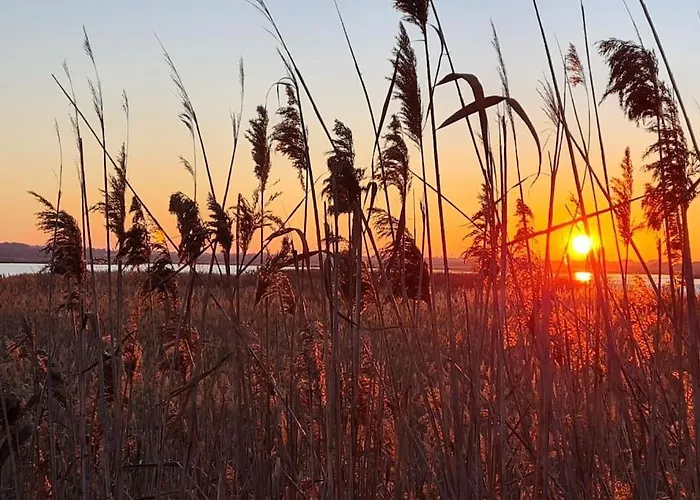 Lejlighed Superbe Au Coeur Du Village Marseillan (Herault)